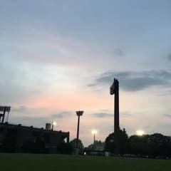 黒の財布のサムネイル