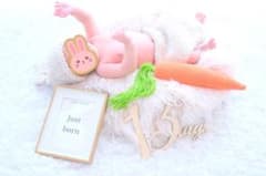 ニューボーンフォト　くまとうさぎセットのサムネイル