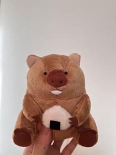ウォンバットさん　ぬいぐるみのサムネイル