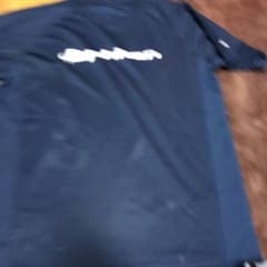 ファイテン  tシャツのサムネイル