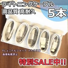 iphone 14 純正 同等 充電機 ライトニング ケーブル 5本