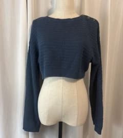 ZARA クロップド丈 ニット 長袖 ブルーのサムネイル