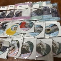 鳥羽水族館　ラッコのメイちゃん　アクリルキーホルダー＆缶バッジのサムネイル
