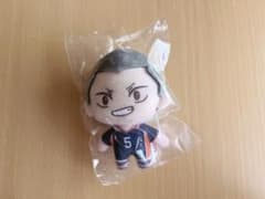 ハイキュー!! 田中龍之介 セガラッキーくじ Ｂ賞 ぬいぐるみマスコットのサムネイル