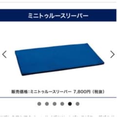 ミニトゥルースリーパー ごろ寝マットのサムネイル
