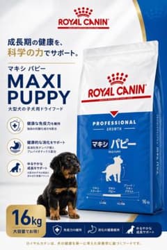ロイヤルカナンマキシパピー16kg RoyalCanin maxi puppy - メルカリ