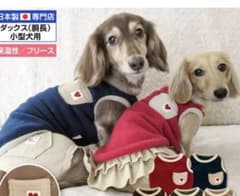 値下げ⭐︎フルオブビガー　ダックス　フリース　赤色のサムネイル