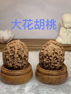 SSS大花胡桃（遊びくるみ）のサムネイル