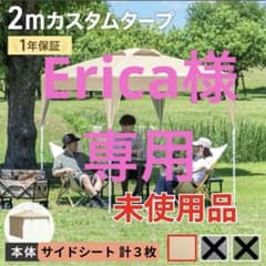 【2m カスタムタープ】未使用品　サイドシート3枚付！のサムネイル