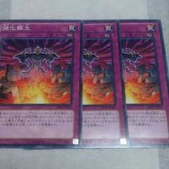 【三枚】②強化蘇生のサムネイル