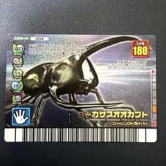 무시 킹 2007 포레스트 그린 코카서스 늑대