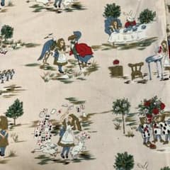 ATSUKI ONISHI 이상한 나라의 앨리스/컴포터 케이스/90년대