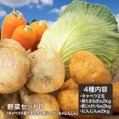 野菜セットB キャベツ2玉・新たまねぎ・新じゃがいも・にんじん約2kg 4種 野菜セットB キャベツ2玉・新たまねぎ・新じゃがいも・にんじん約2kg 4