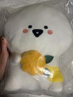 문구와 함께~내일도 분명 좋은 날씨~A상