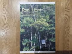 Roni Horn ロニ・ホーン 図録 ポーラ美術館のサムネイル