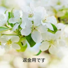 返金用のサムネイル