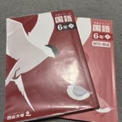 国語 6年生 解答・解説 四谷大塚のサムネイル