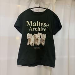 Maltese Archive YK Studios Tシャツのサムネイル