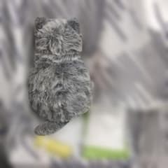 ミャウエバー MeowEver フェリシモ猫部 ねこ 猫型ぬいぐるみ 湯たんぽのサムネイル
