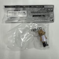 【早い者勝ち】ハローキティ あしながめじるしアクセサリー 日焼けのサムネイル