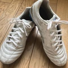 ASICS DS LIGHT WIDE 25センチ ホワイト/ブルーのサムネイル