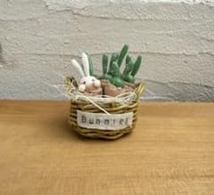 ミニチュアクレイ多肉　モニラリアかご寄せ③のサムネイル