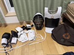 錬心舘 空手 防具 一式 高校生サイズ（170cm程度）中古 黄ばみありのサムネイル