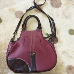 バイオリンbagのサムネイル