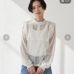 【半額以下‼︎】Discoat 総レースブラウスのサムネイル