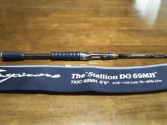 エバーグリーン　カレイド・インスピラーレ　スタリオンDG69MHのサムネイル