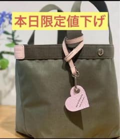 美品 限定 エルベシャプリエ 707CD 正規品 ムース×ムース✖️ドラジェ