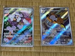 ライチュウ　イッカネズミ　ARセットのサムネイル