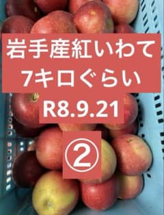 岩手産紅いわて R8.9.21のサムネイル