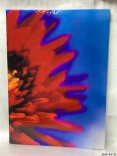 蜷川実花 アシッド・ブルーム Acid Bloom - メルカリ