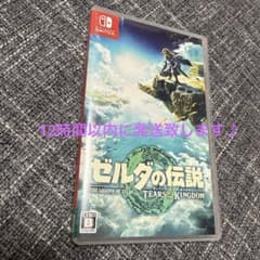 젤다의 전설 티어즈 오브 더 킹덤 Switch