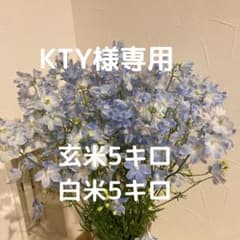 【KTY様専用】のサムネイル