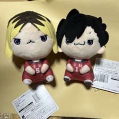 ハイキュー もちぴこぬいぐるみ 全2種セット 黒尾鉄朗 孤爪研磨 - メルカリ