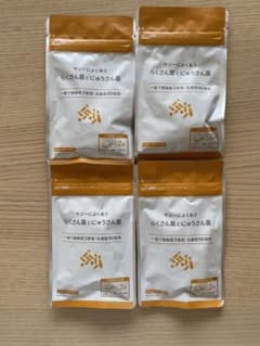 サジーによくあう　らくさん菌とにゅうさん菌　4袋セットのサムネイル