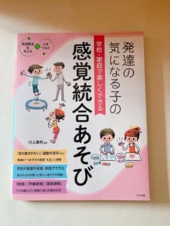 発達の気になる子の感覚統合あそび