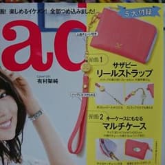 steady  5月号 付録のサムネイル