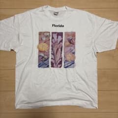 Hanes/Florida プリント Tシャツ ホワイトのサムネイル