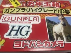 ヨドバシカメラ お年玉箱 2026 ガンプラ ハイグレードの夢 HG - メルカリ