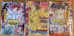 聖闘士星矢 THEN　Ⅰ廃墟の花　Ⅱ使命　Ⅲ決意　3冊セット　チャンピオン 聖闘士星矢 THEN Ⅰ廃墟の花 Ⅱ使命 Ⅲ決意 3冊セット チャンピオン