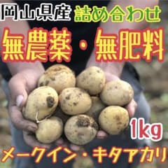 岡山県産 野菜 完全無農薬・無肥料 ジャガイモ混合 メークイン・キタアカリ1kgのサムネイル