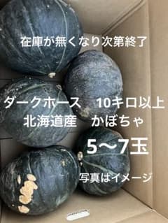 かぼちゃ 箱込み約10キロ以上のサムネイル