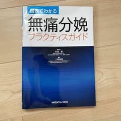 図表でわかる 無痛分娩 プラクティスガイドのサムネイル