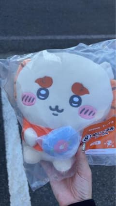 치이카와 시서 세트