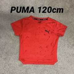 プーマ レッド Tシャツ 120のサムネイル