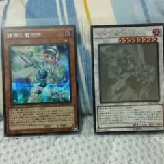 調律の魔術師(シク)エンライトメントパラディン(ホロ)のサムネイル