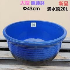 新品 大型 ∅43 陶器 睡蓮鉢 メダカ鉢 手造り ラピスブルー 濃紺 MDB
